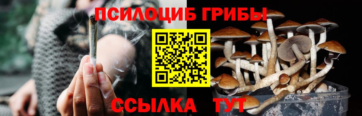 Псилоцибиновые грибы Cubensis Белебей