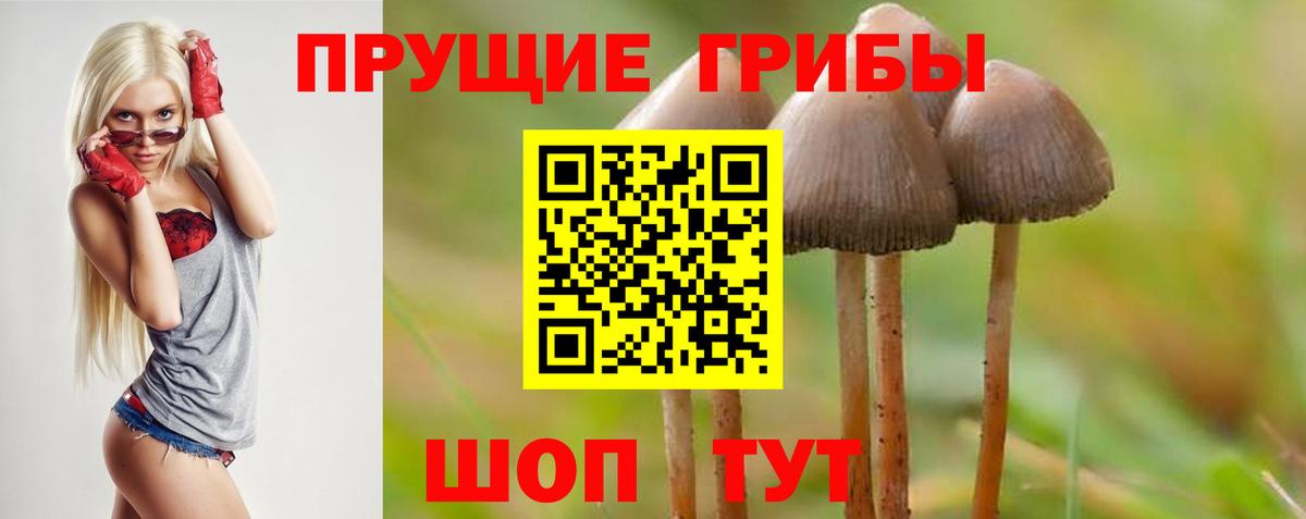 Галлюциногенные грибы мухоморы  Вход с VPN  Белебей  Псилоцибиновые грибы мухоморы 